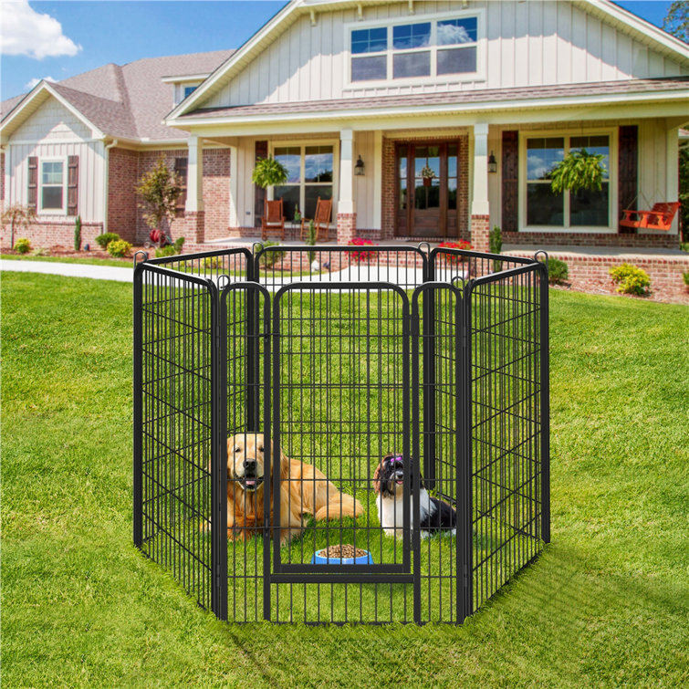 Outdoor store puppy pen